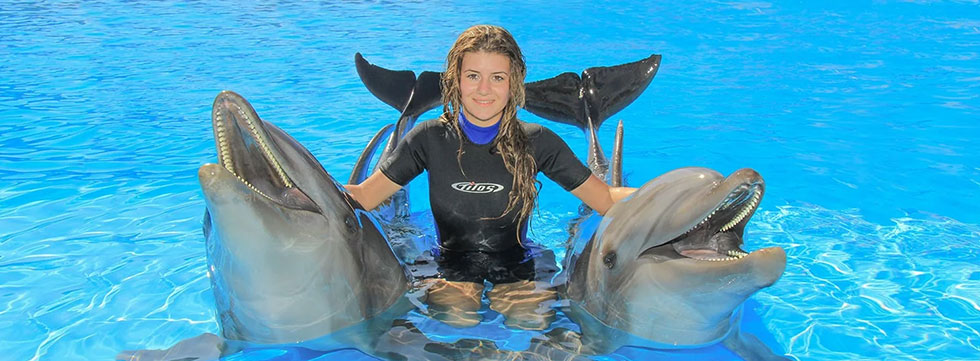 Cabo Dolphins