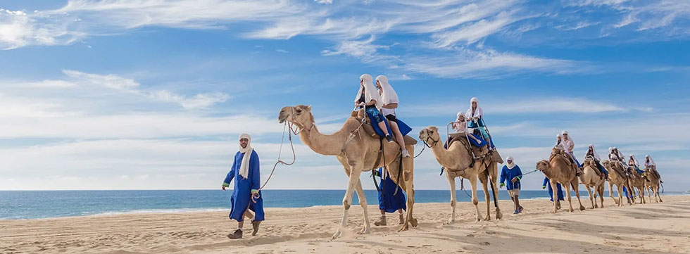 Camel Safari, Horseback Riding, City & Hiking Tours