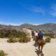 Horseback riding in Cabo San Lucas, Mexico